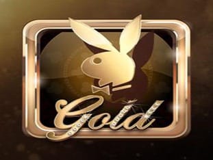 Playboy Gold icon
